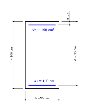 Example_Section 50x100